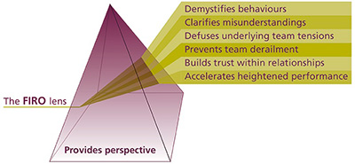 FIRO prism diagram
