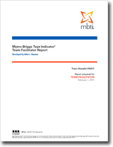 MBTI<sup>®</sup> Team Report