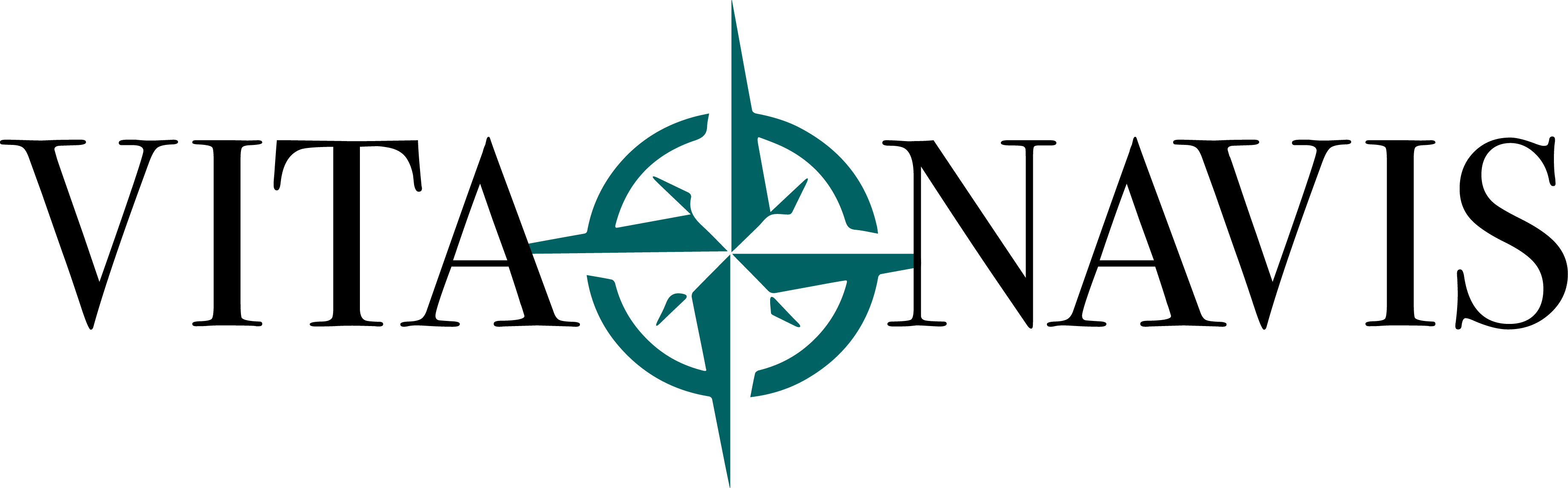 VitaNavis logo