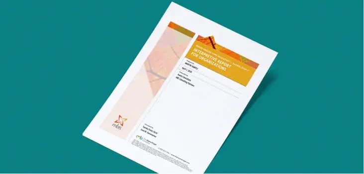          Interpretative Report for Organizations     