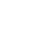 mbit
